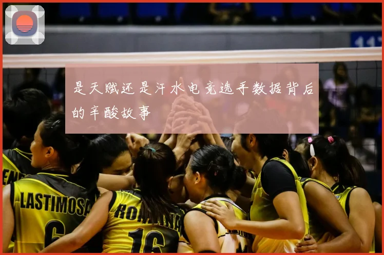 是天赋还是汗水电竞选手数据背后的辛酸故事